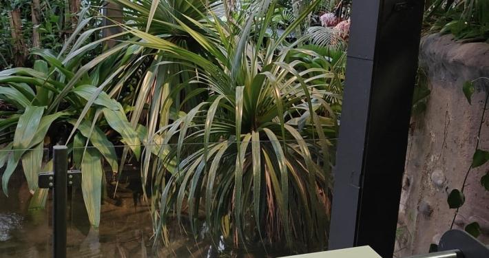 Teeuwissen op locatie in het reptielenhuis!