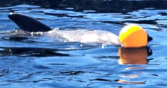 Gewoon in Nederland, geen filter nodig!